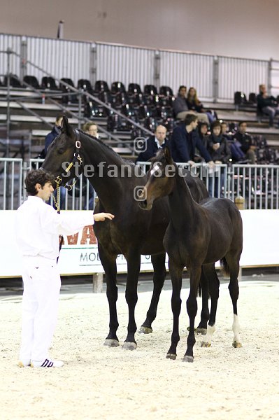 PRINCESS LIESA_MILANO_2010_SS3_7467.jpg